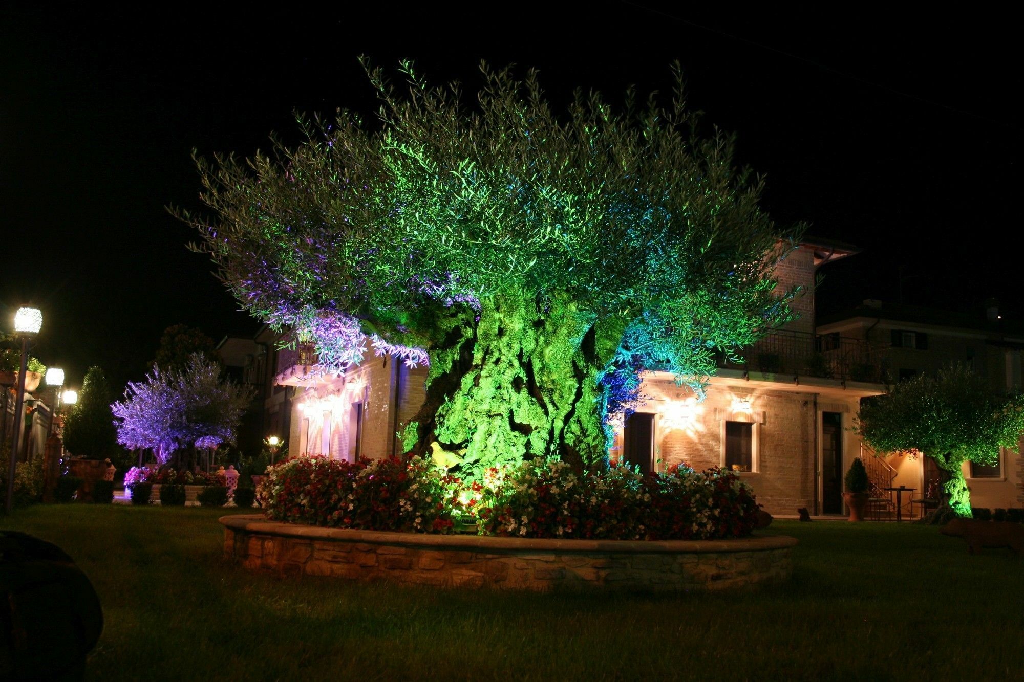 Domus Angeli Hotel Assisi Exterior foto